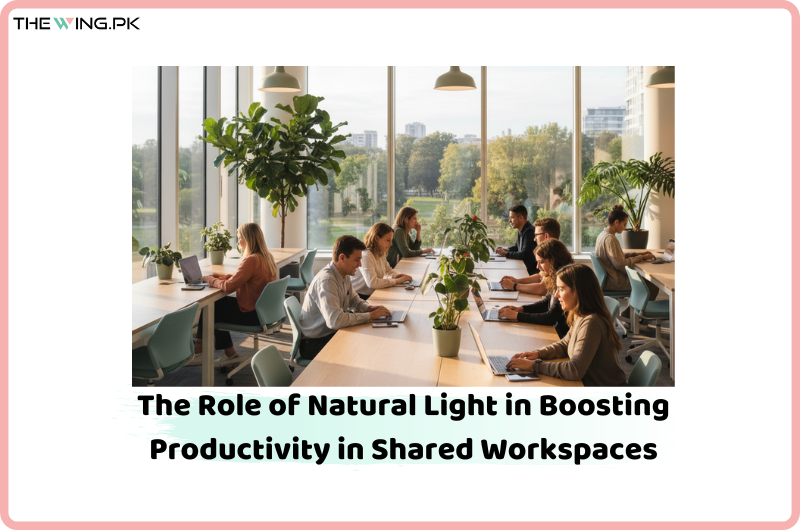 Natural Light in Boosting Productivity in Shared Workspaces
